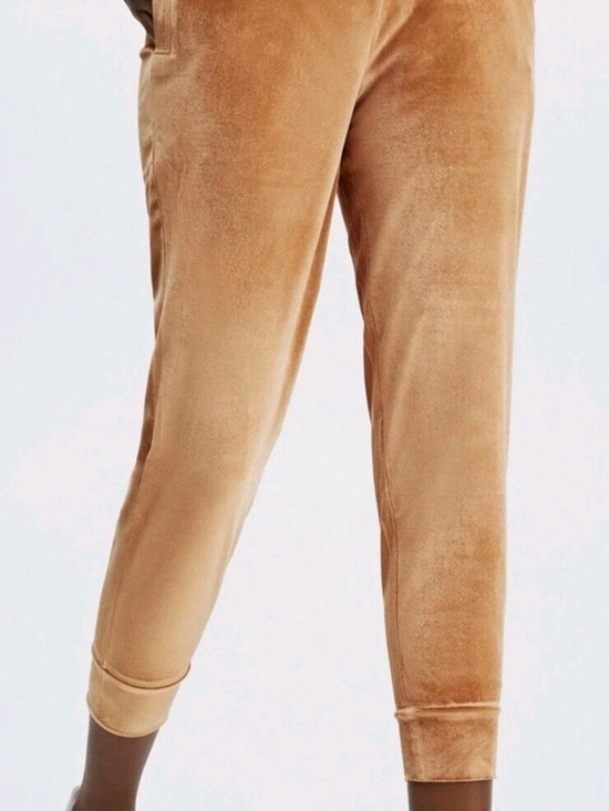Fabletics Pants - Fabletics Daria Velour Jogger Pants Women L 10 Honey NWT Drawstring Tapered